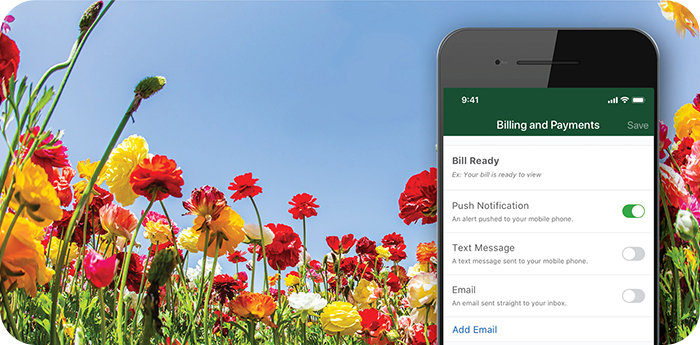 Minnesota Energy Resources app with colorful spring flowers