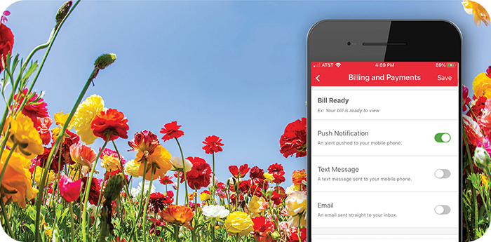Wisconsin Public Service app with colorful spring flowers