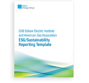 2018 EEI and AGA ESG/Sustainability Reporting Template cover