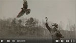 peregrine falcon history in Wisconsin video